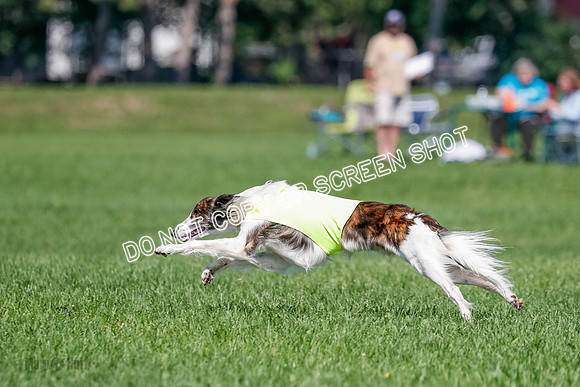 Silken Windhound Final, Finnegan, Joker-1793