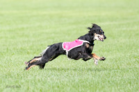 Singles Prelim, Annie-0255