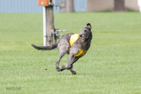Singles Prelim, Corvo-0228