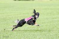 Singles Prelim, Annie-0255