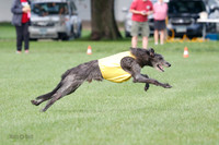 Singles Prelim, Corvo-0241