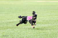 Singles Prelim, Annie-0255