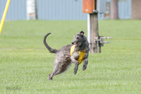 Singles Prelim, Corvo-0224