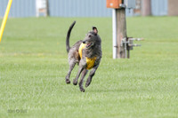 Singles Prelim, Corvo-0223