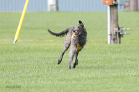 Singles Prelim, Corvo-0222