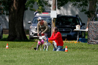 Whippet Prelim, Wyatt, Leni-1025