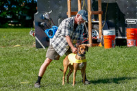 Rhodesian Ridgeback Prelim Remmy, Iris-2728