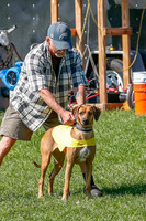 Rhodesian Ridgeback Prelim Remmy, Iris-2731