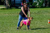 Rhodesian Ridgeback Prelim Remmy, Iris-2730