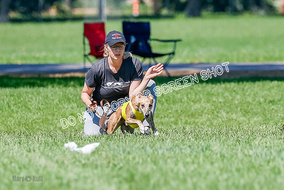 Singles Finals Hammer-3683