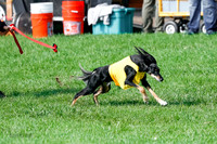 Singles Prelim Corvo-2454