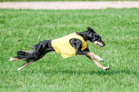 Singles Prelim Corvo-2457