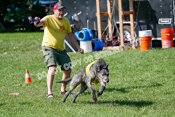 Singles Prelim Dragon-2561
