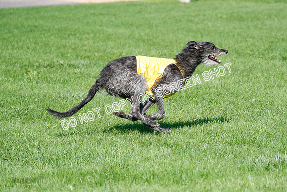Singles Prelim Dragon-2576