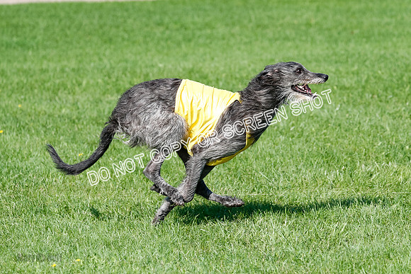 Singles Prelim Dragon-2572