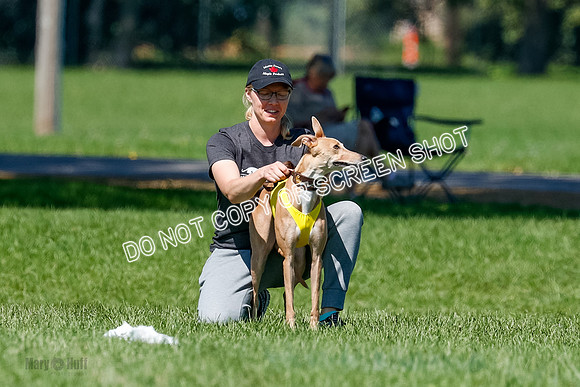 Singles Finals Rarity-3583