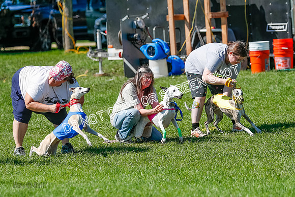 Whippet Prelim Archer, Wyatt, Raya-3164
