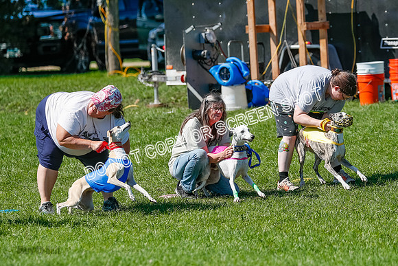 Whippet Prelim Archer, Wyatt, Raya-3162