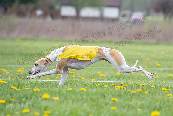 Finals Open B4 Flower Zero-8075