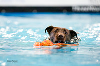Splash 2