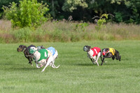 prg 1 race 2 Wallie Frankie Devo Sid Elsa-2866