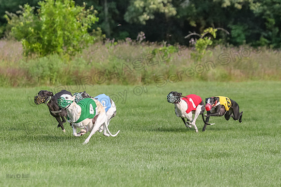 prg 1 race 2 Wallie Frankie Devo Sid Elsa-2866