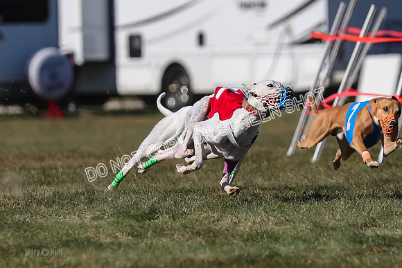 Prg 4, Race 13, oats Bookie Reas Rizzo-2758