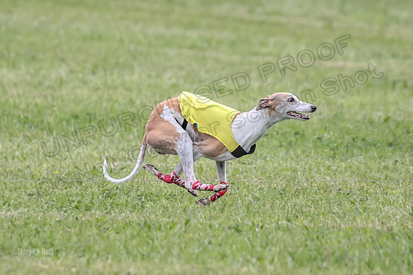 Prelim Veterans 1, Cheers Dora LittleBit-0088
