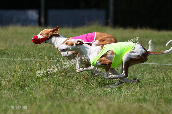 Open Prelim B2, Latte, Wizard-7872