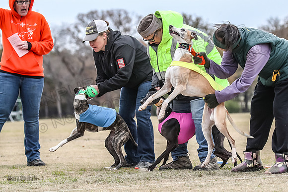 Finals Open 3 Scorch Shine Kashi-4007