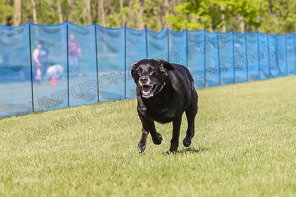 AE4I8321