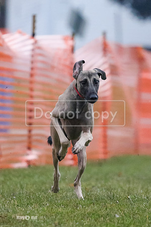 MCH74994