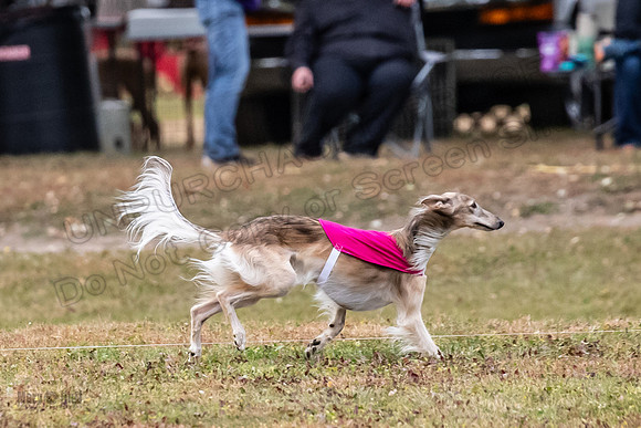 Finals Open Ripley Spiff-2691