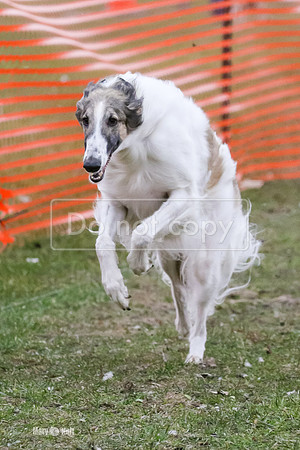 MCH76220