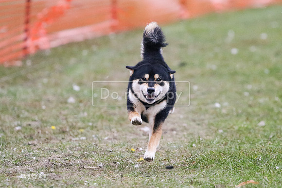 MCH76137