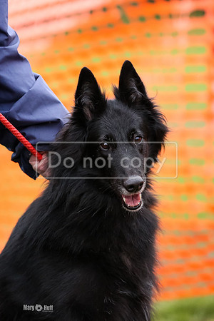 MCH55960