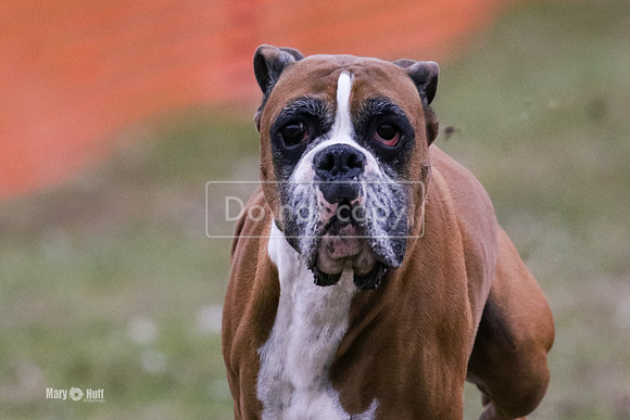 MCH76011