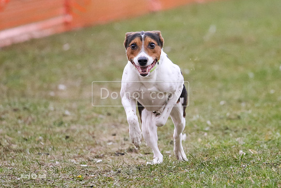MCH75033