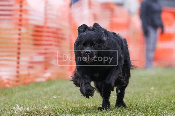 MCH75934