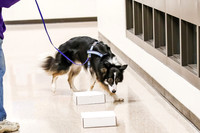 AE4I6068
