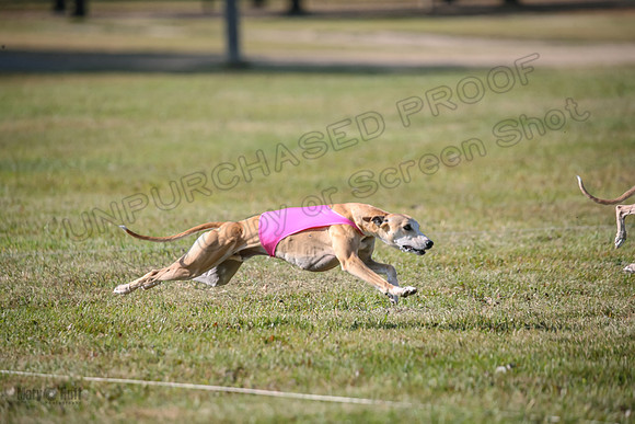 Finals Open 2 Fennec Keegan AnnieOakley-3888