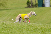 Prelim Veteran 1, Akela Ricky Bobby Blue-6252