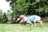 prg 1 race 1 angel nathalia seeker sid zen-3497