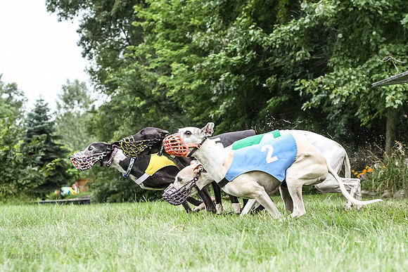 prg 1 race 1 angel nathalia seeker sid zen-3497