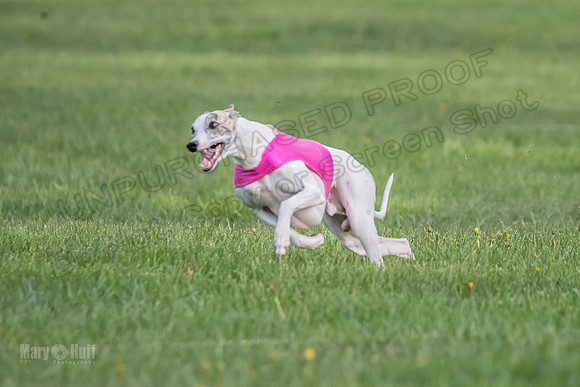 1Prelims Open A2 Delilah ZipIt Kiwi-0121