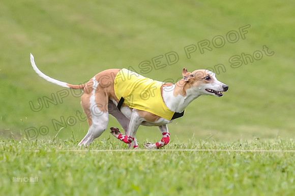 Prelim Open E2, Riddle Finely Scarlet-4832