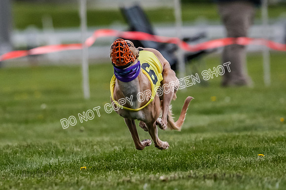 WRA, Prg 1, Race 3, Kixx Guppy Flair Whammy-8272