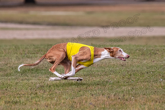 Finals Vet Izzy Thea-3286
