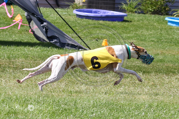 MCH74339