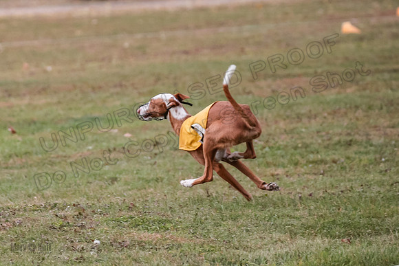 1 Prelims Fch 1 Penny Jadis Willow-5793
